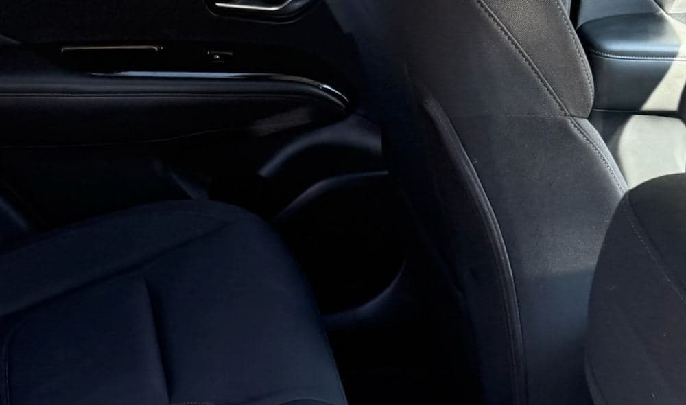 The same rear seat and door panel after the hair was removed