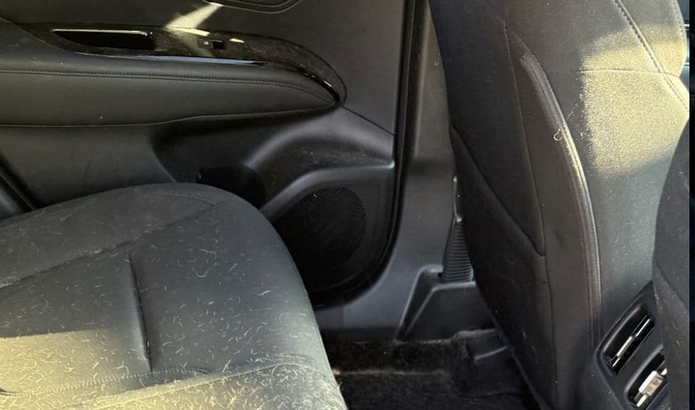 Rear seat and door panel covered in dog hair before an interior detail